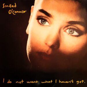 I Do Not Want What I Haven't Got